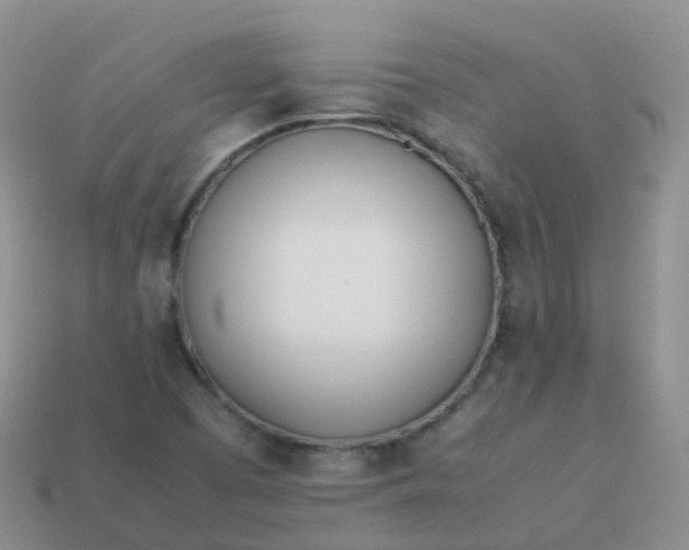 X0000113891457200910081758