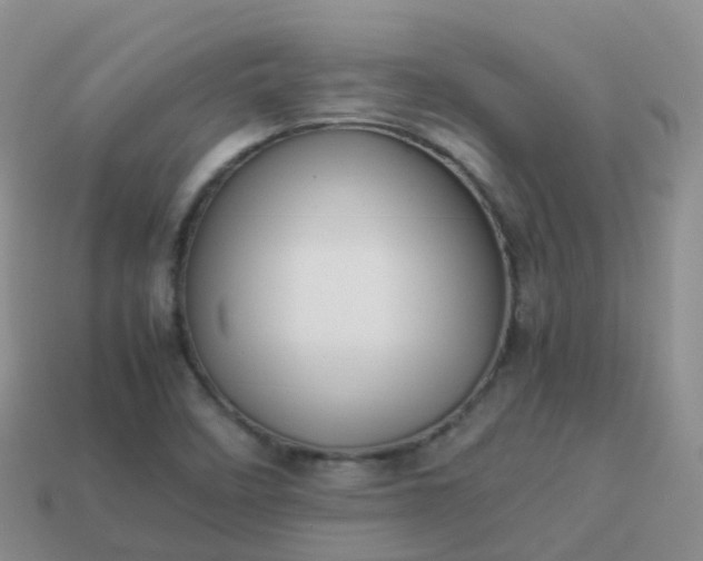 X0000113891458200910081758