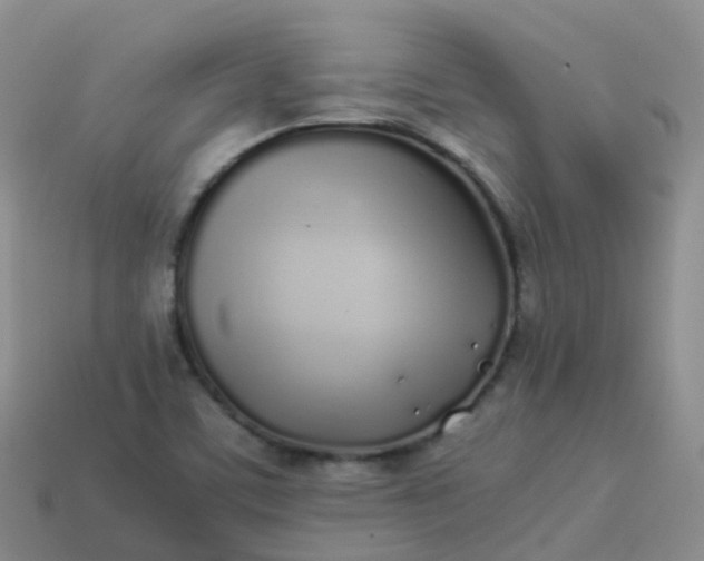 X0000113891459200910081758