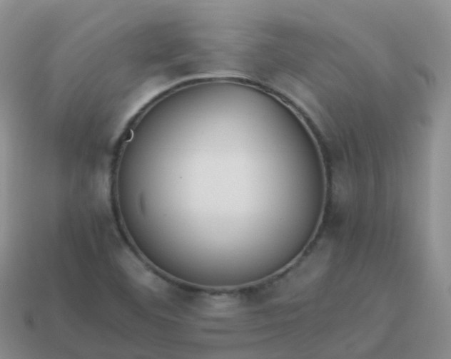 X0000113891460200910081758