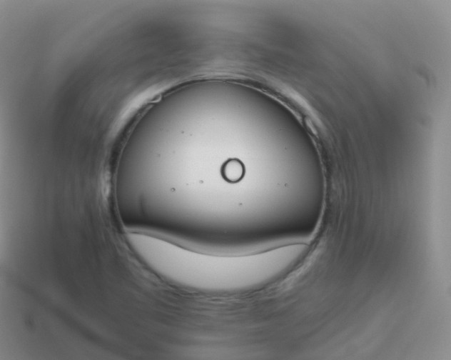 X0000113891461200910081758