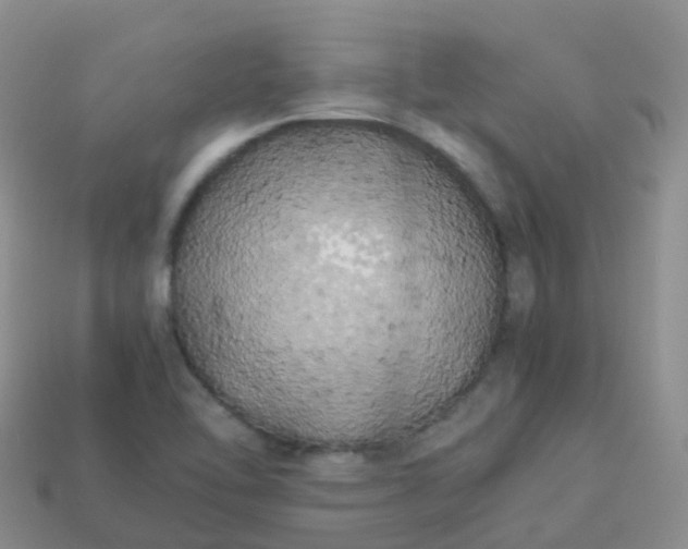 X0000113891462200910081758