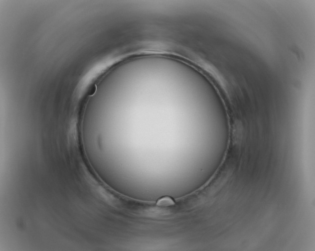 X0000113891464200910081757