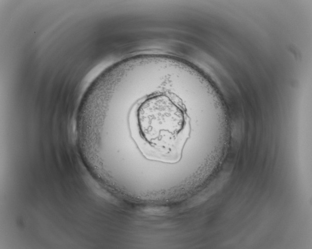 X0000113891466200910081757