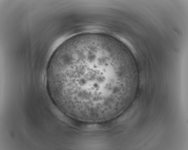 X0000113891467200910081757