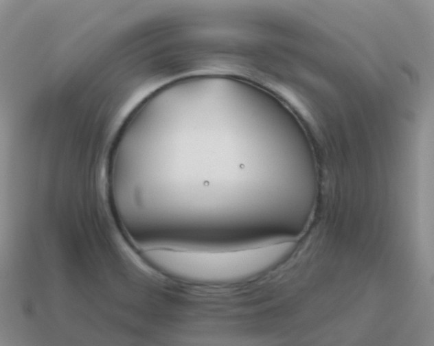 X0000113891468200910081757