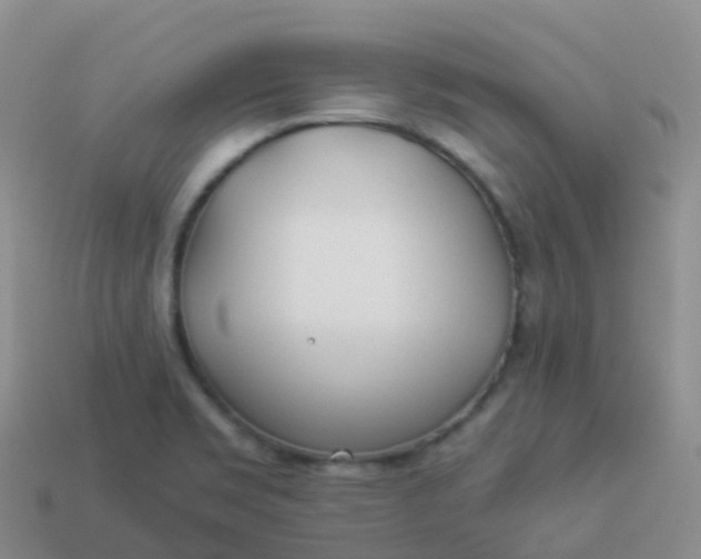 X0000113891469200910081757