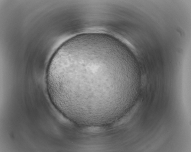 X0000113891470200910081757