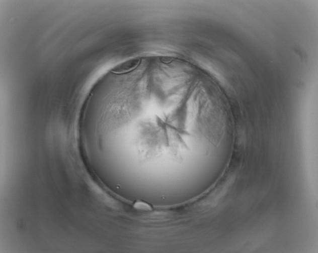 X0000113891471200910081757