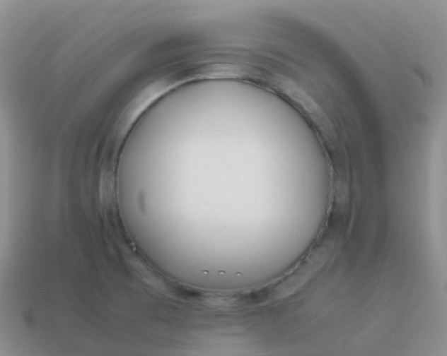 X0000113891473200910081757