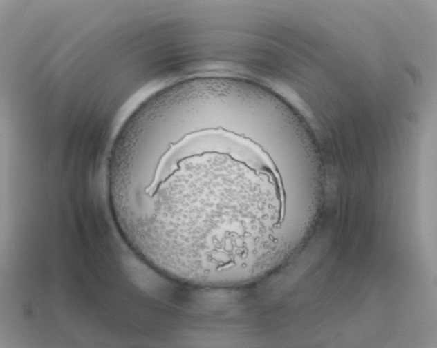 X0000113891474200910081757