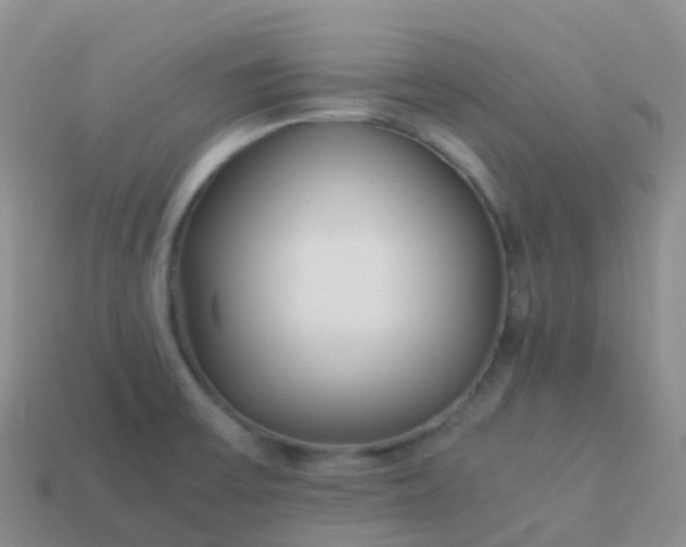 X0000113891475200910081757