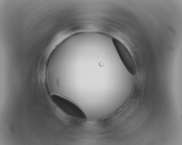 X0000113891477200910081757