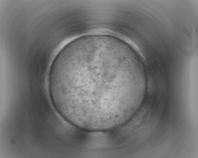 X0000113891478200910081757