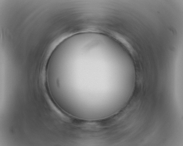 X0000113891479200910081757