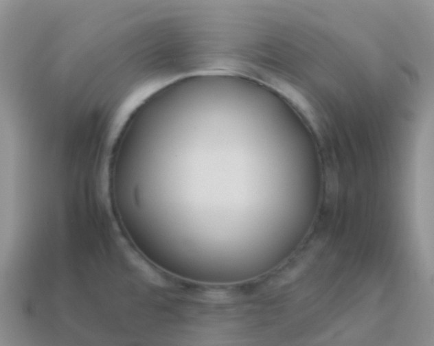 X0000113891480200910081757