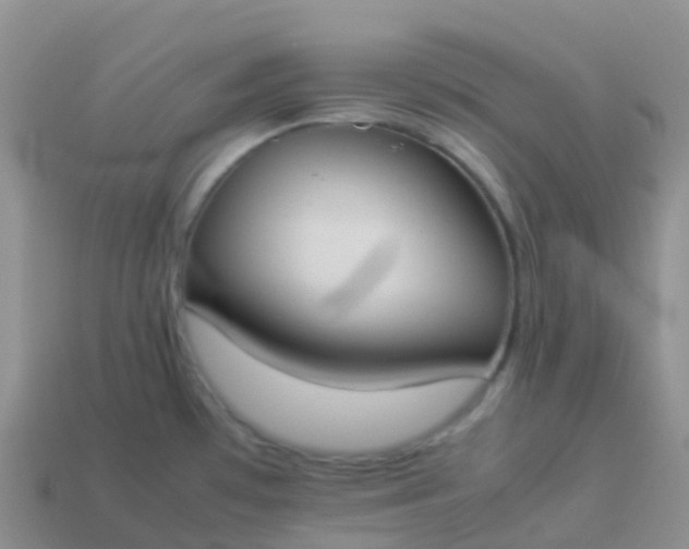 X0000113891481200910081757