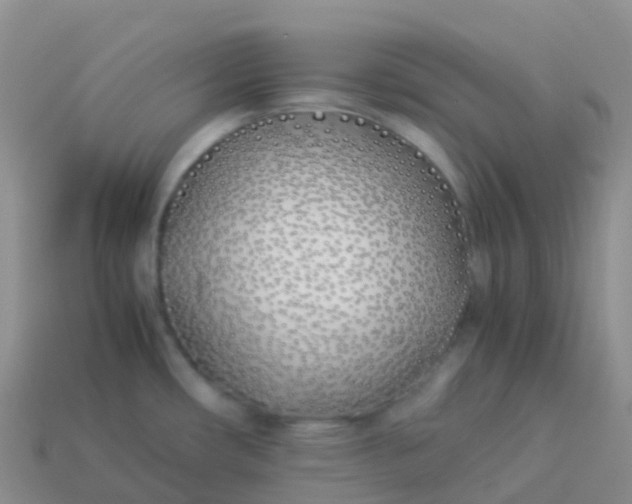 X0000113891482200910081757