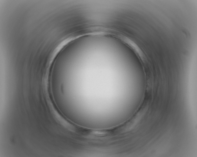 X0000113891483200910081757