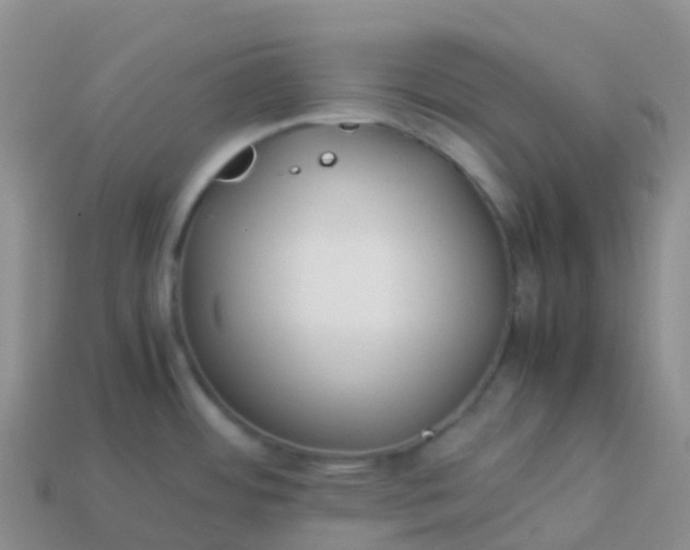 X0000113891484200910081757