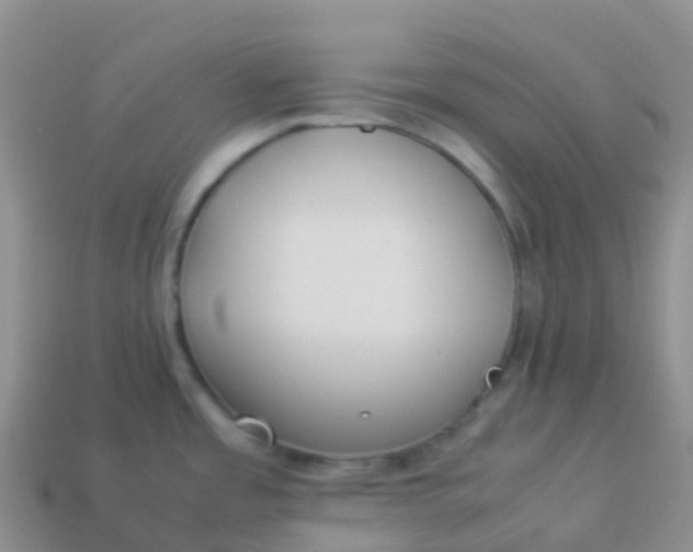 X0000113891485200910081757