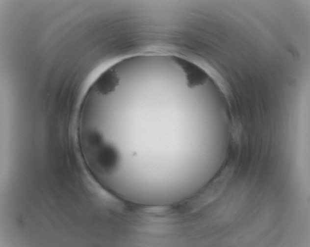 X0000113891486200910081757