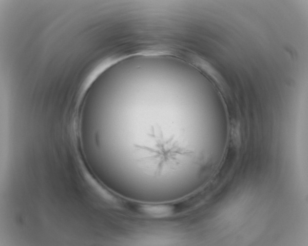 X0000113891487200910081757