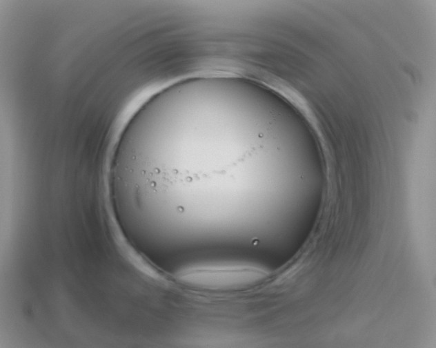 X0000113891488200910081757