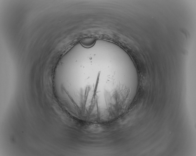 X0000113891489200910081756