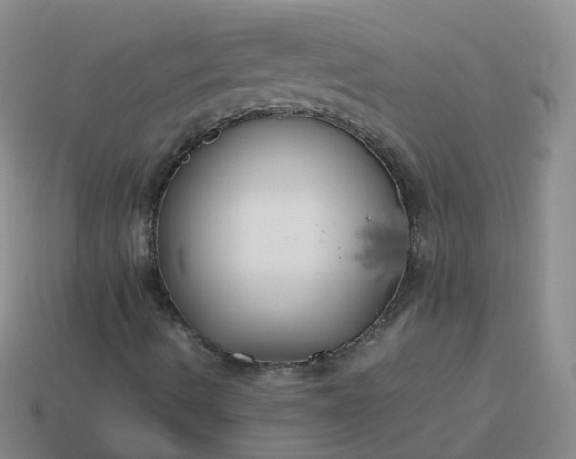 X0000113891490200910081757