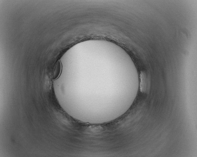 X0000113891491200910081757