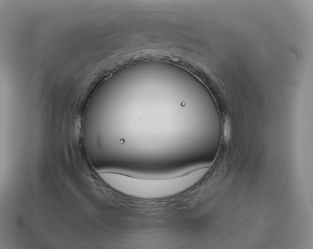 X0000113891492200910081757