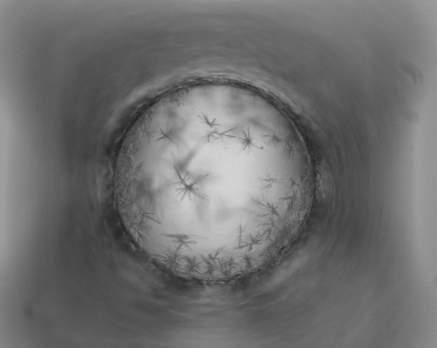 X0000113891494200910081757