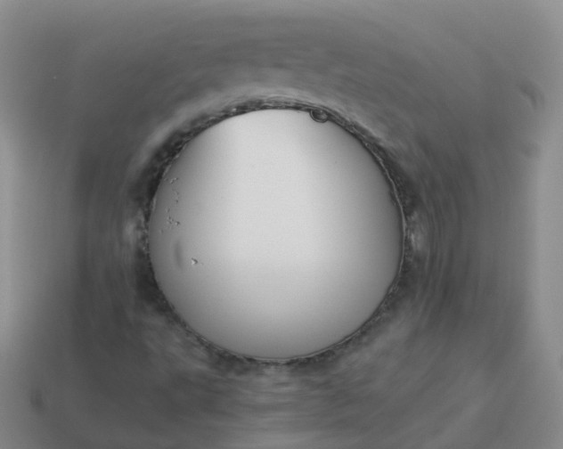 X0000113891495200910081757