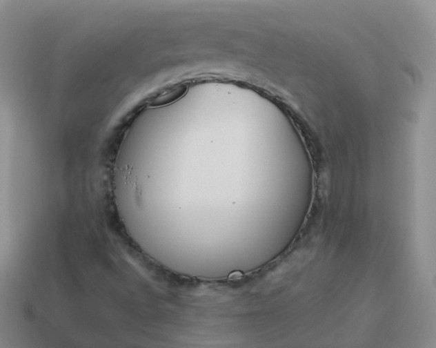 X0000113891496200910081757