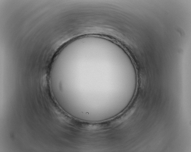 X0000113891497200910081757