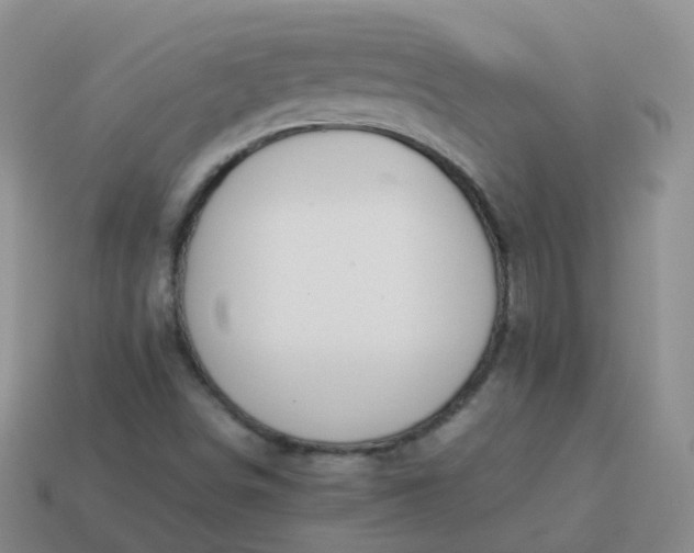 X0000113891498200910081757