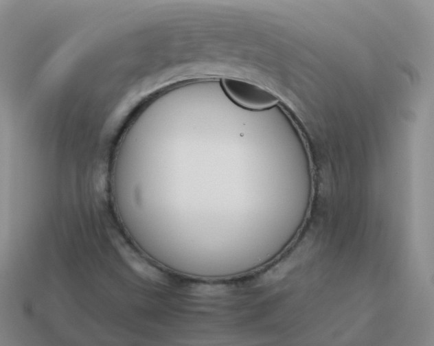 X0000113891499200910081757