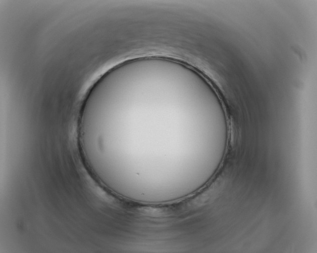 X0000113891500200910081757