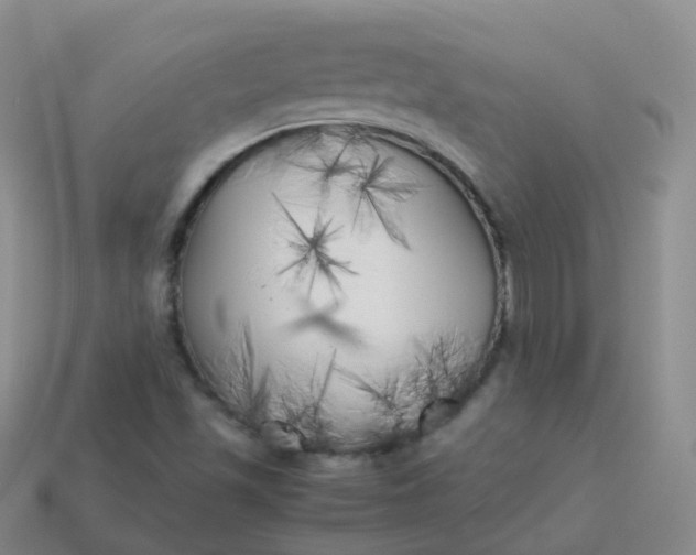 X0000113891501200910081757