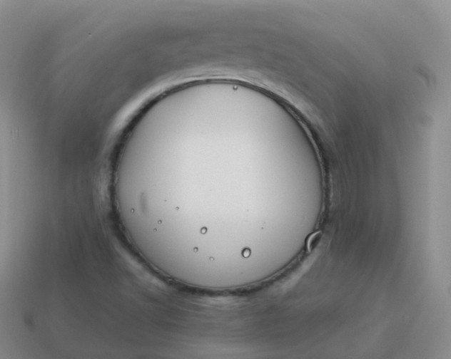 X0000113891502200910081757