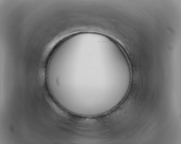 X0000113891503200910081757