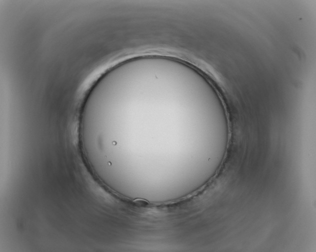 X0000113891504200910081757