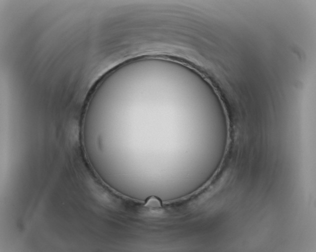 X0000113891505200910081757