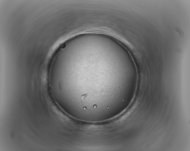 X0000113891506200910081757