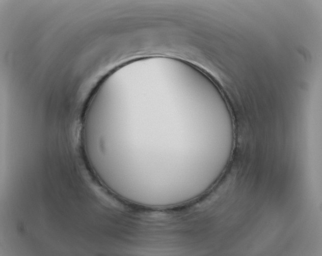 X0000113891507200910081757