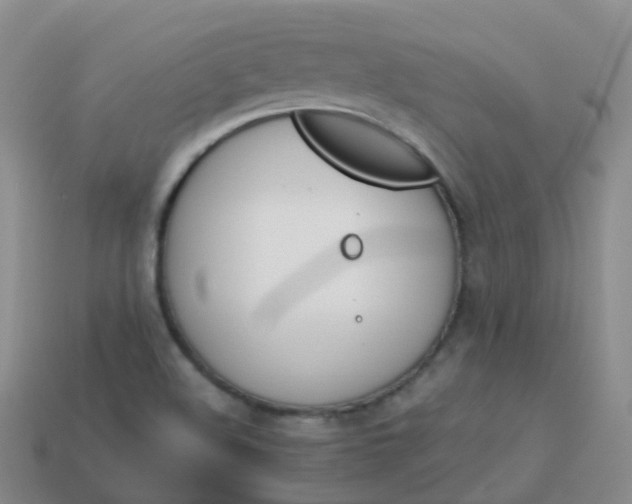 X0000113891508200910081757