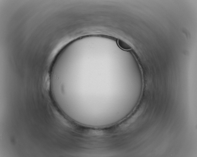 X0000113891509200910081757