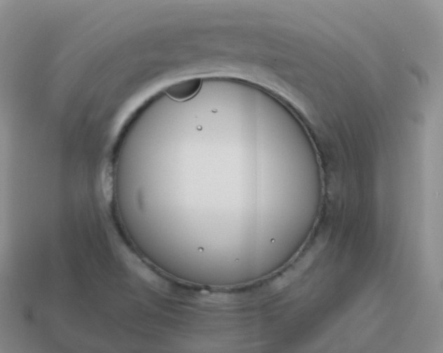 X0000113891510200910081757