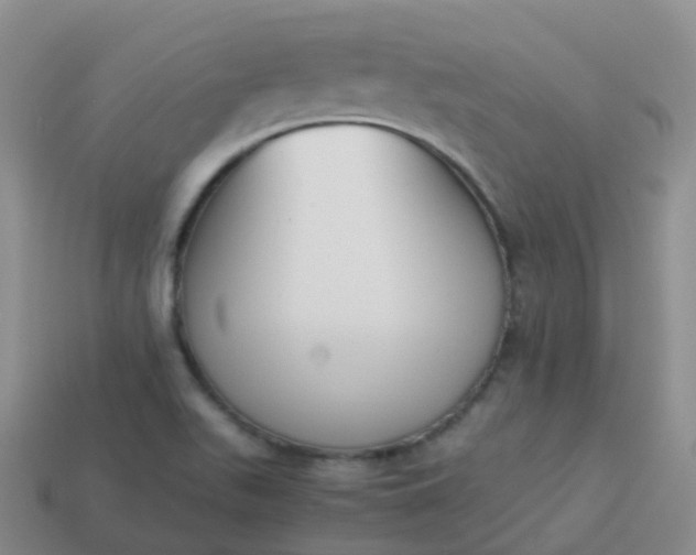 X0000113891511200910081757